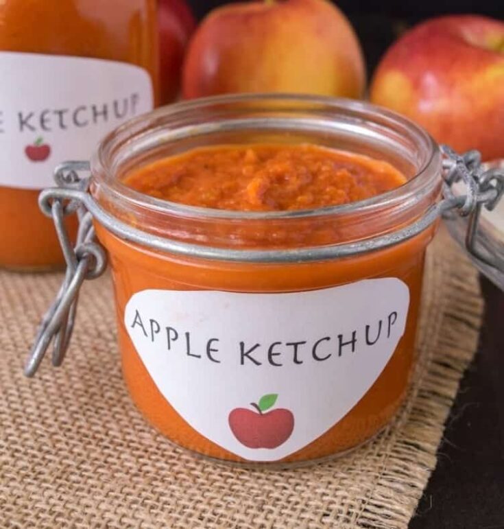 Homemade apple ketchup in a jar