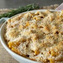Rigatoni pasta mixed with sweet potato sauce baked with a breadcrumb topping