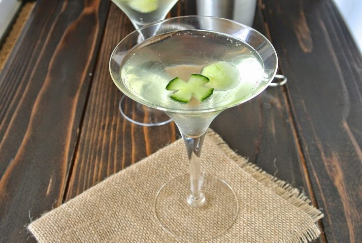 Cucumber Gin Fizz