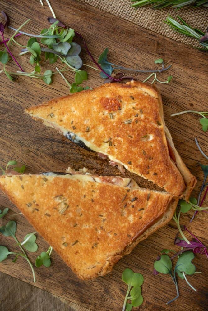 A grilled cheese sandwich cut into triangles viewed from overhead