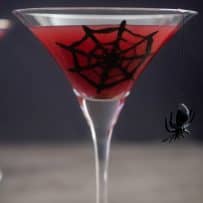 A long stem martini glass with a spider web and spider hanging filled with red liquid