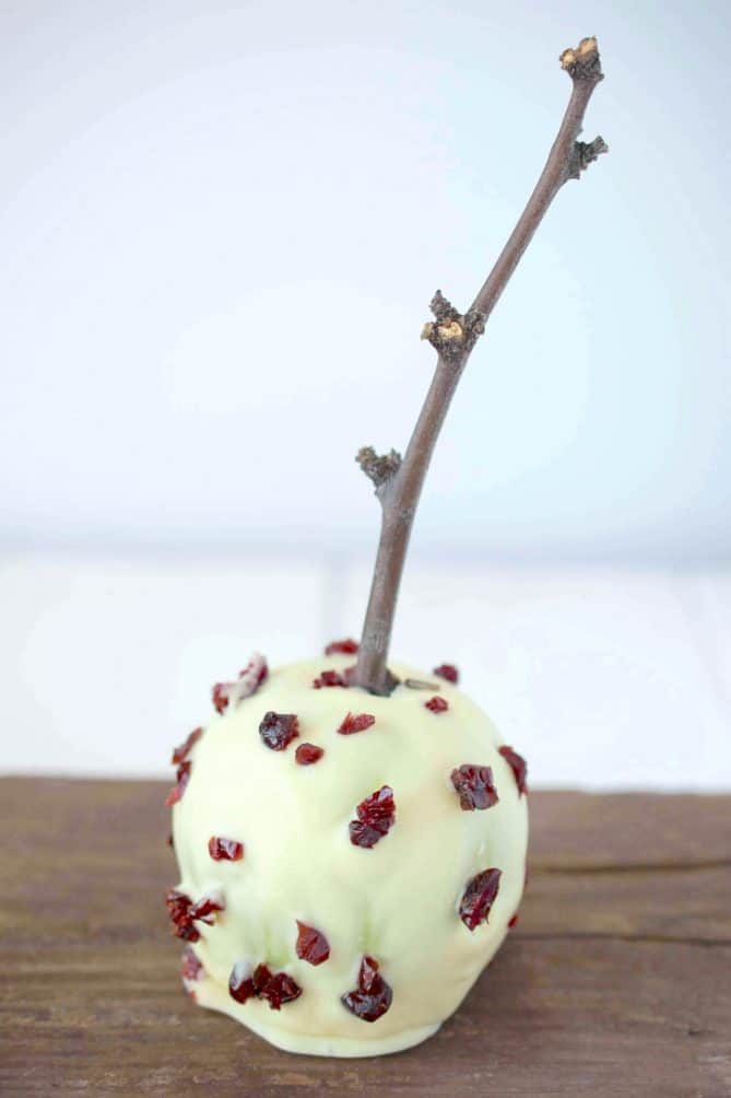 White chocolate coated apple studded with dried cranberries