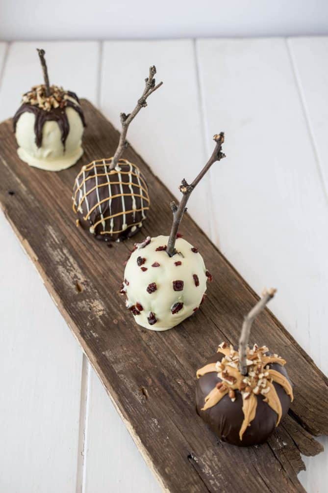 White and dark chocolate coated apples with real sticks inserted for handles on a distressed board