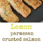 Lemon parmesan crusted salmon. Seared salmon topped with dijon mustard and a delicious lemon, parmesan and dill panko topping.