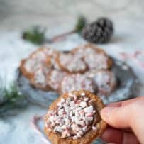 Holding a Florentine lace cookie that is coated in milk chocolate and crushed candy canes