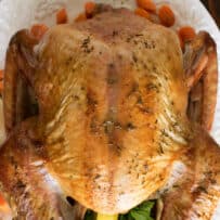 A crispy roasted turkey viewed from overhead