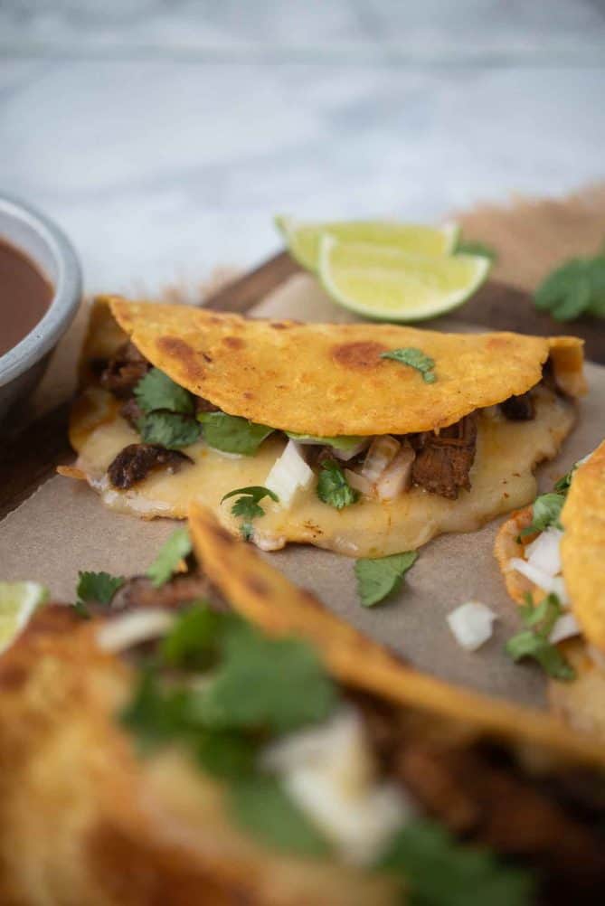 Melted cheese oozing from a taco with onion and cilantro