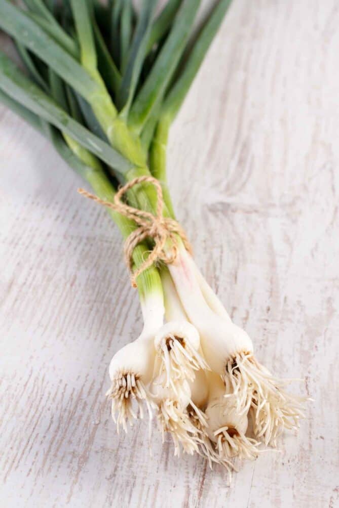 A bunch of green spring garlic tied with string