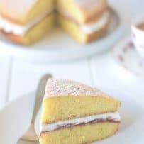 A perfect slice of cake on a white plate