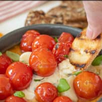 Whipped goat cheese and feta with braised tomatoes and a piece of grilled bread
